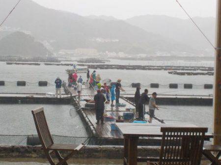 淡路じゃのひれフィッシングパーク 釣果