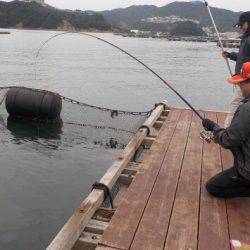 淡路じゃのひれフィッシングパーク 釣果