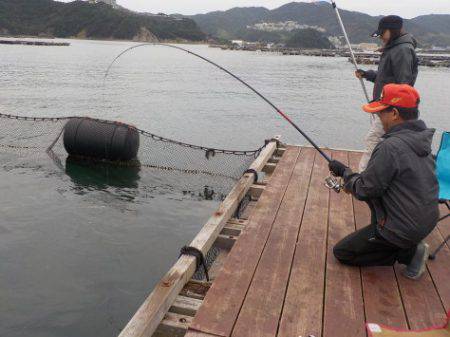 淡路じゃのひれフィッシングパーク 釣果