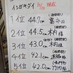 淡路じゃのひれフィッシングパーク 釣果