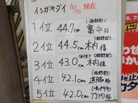 淡路じゃのひれフィッシングパーク 釣果