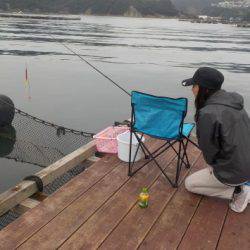 淡路じゃのひれフィッシングパーク 釣果