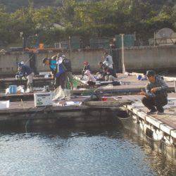 淡路じゃのひれフィッシングパーク 釣果