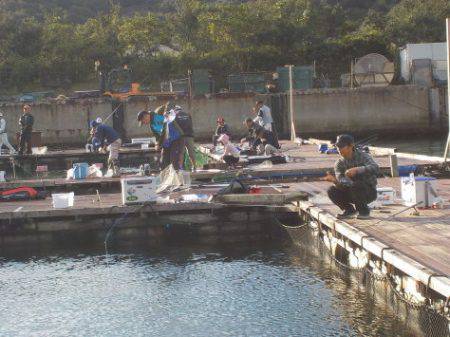 淡路じゃのひれフィッシングパーク 釣果