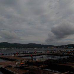 淡路じゃのひれフィッシングパーク 釣果