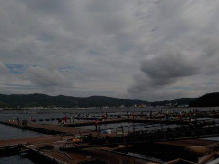 淡路じゃのひれフィッシングパーク 釣果