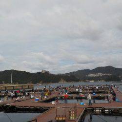 淡路じゃのひれフィッシングパーク 釣果