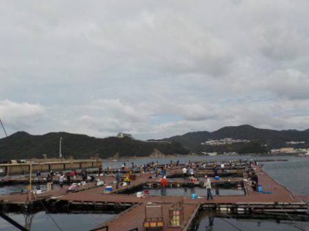 淡路じゃのひれフィッシングパーク 釣果