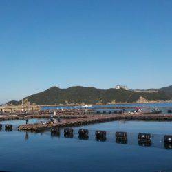 淡路じゃのひれフィッシングパーク 釣果