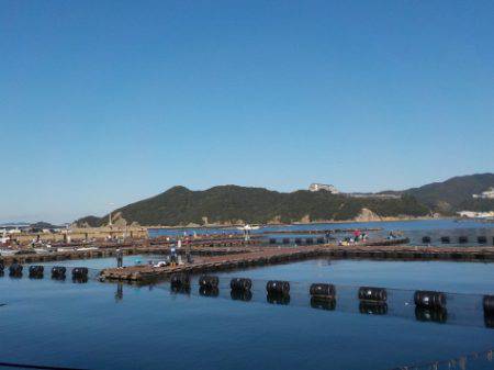 淡路じゃのひれフィッシングパーク 釣果