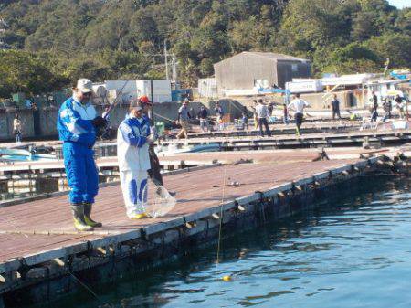 淡路じゃのひれフィッシングパーク 釣果