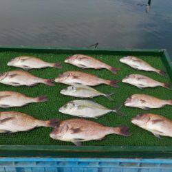 淡路じゃのひれフィッシングパーク 釣果