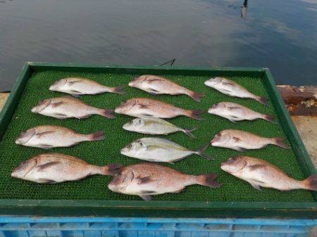 淡路じゃのひれフィッシングパーク 釣果