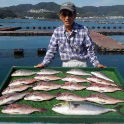 淡路じゃのひれフィッシングパーク 釣果