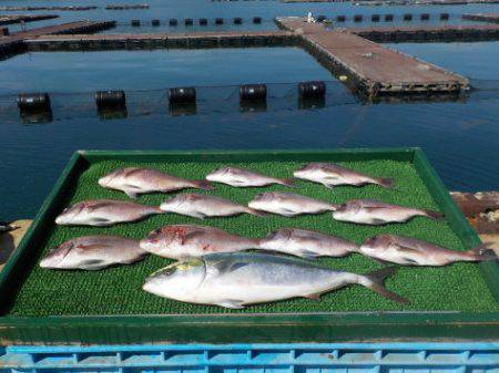 淡路じゃのひれフィッシングパーク 釣果