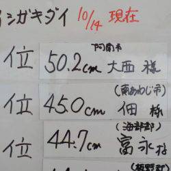 淡路じゃのひれフィッシングパーク 釣果