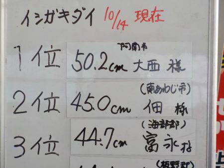 淡路じゃのひれフィッシングパーク 釣果