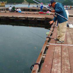 淡路じゃのひれフィッシングパーク 釣果