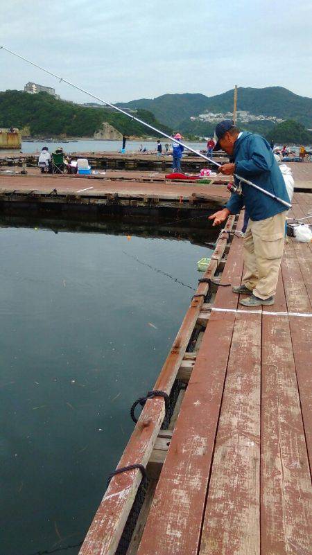 淡路じゃのひれフィッシングパーク 釣果