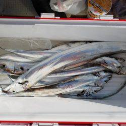 遊漁船　ニライカナイ 釣果