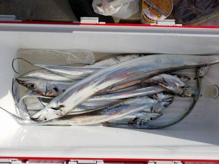 遊漁船　ニライカナイ 釣果