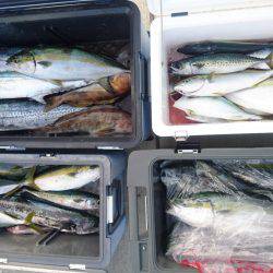 気仙沼　つり丸 釣果