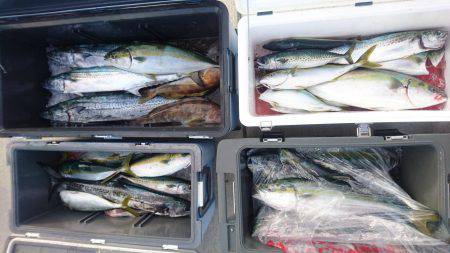 気仙沼　つり丸 釣果