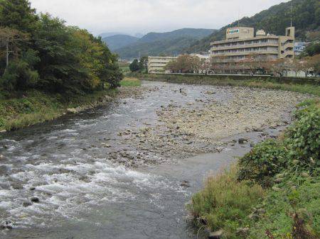 狩野川(狩野川漁業協同組合) 釣果