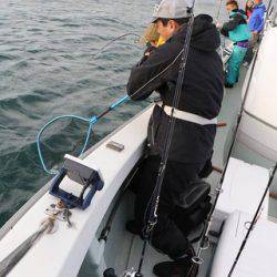 スカイマリン 釣果