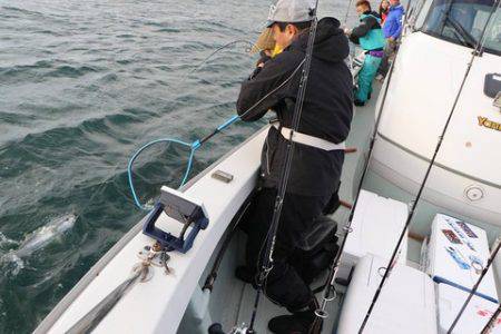 スカイマリン 釣果