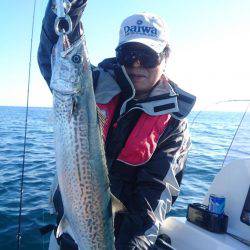 気仙沼　つり丸 釣果