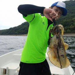 Magic（マジック） 釣果