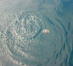 IDATEN（イダテン） 釣果