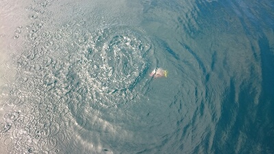 IDATEN（イダテン） 釣果