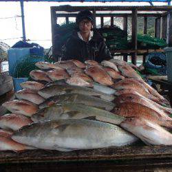 カタタのつり堀 釣果