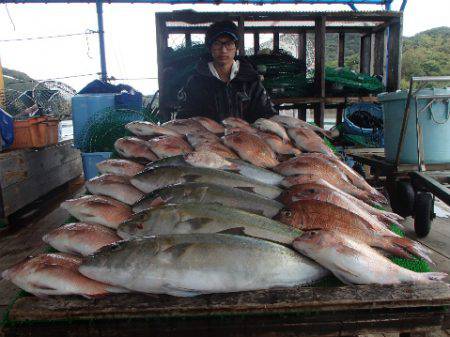 カタタのつり堀 釣果