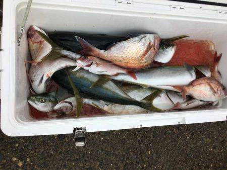 龍宮丸 釣果