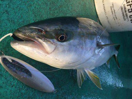 広進丸 釣果