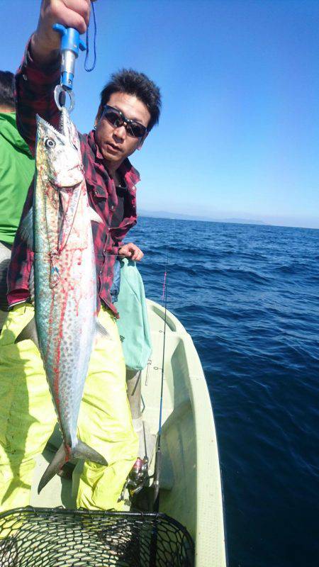 気仙沼　つり丸 釣果