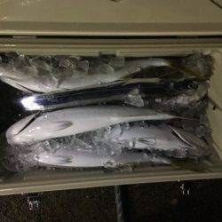 龍宮丸 釣果