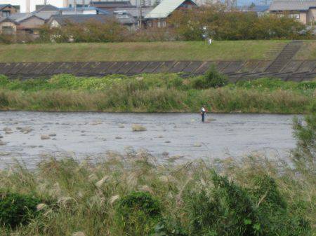 狩野川(狩野川漁業協同組合) 釣果