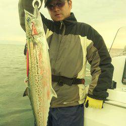 気仙沼 つり丸 釣果