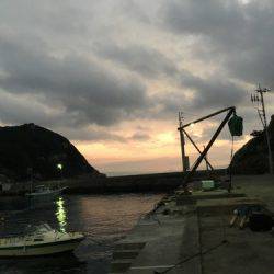 鵜来島家本渡船 釣果