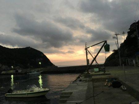 鵜来島家本渡船 釣果