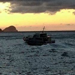 鵜来島家本渡船 釣果