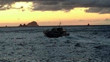 鵜来島家本渡船 釣果