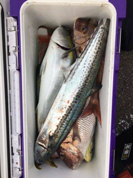 龍宮丸 釣果