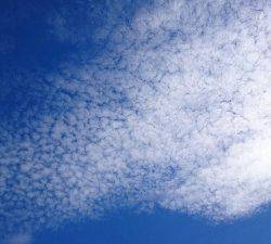 IDATEN(イダテン) 釣果