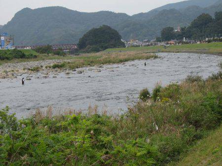 狩野川(狩野川漁業協同組合) 釣果