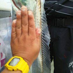 遊漁船 ニライカナイ 釣果